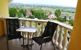 Heviz -Alsopahok Villa-Erika Apartman